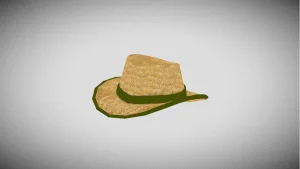 Hats for Roblox APK